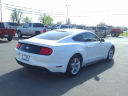 Thumbnail image of 2019 Ford Mustang at Haller Wholesale Auto