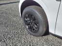 Thumbnail image of 2024 Ford Maverick at Liccardi Ford Inc