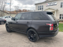 Thumbnail image of 2021 Land Rover Range Rover at SOUTHERN SELECT AUTO SALES