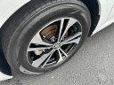 Thumbnail image of 2022 Nissan Sentra at Tapp Motors