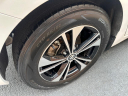 Thumbnail image of 2022 Nissan Sentra at Tapp Motors