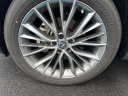 Thumbnail image of 2022 Lexus NX 350 at Ciocca Nissan of Quakertown - NEW