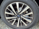 Thumbnail image of 2019 Subaru Legacy at Autoland Usa