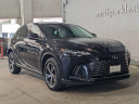 Thumbnail image of 2024 Lexus RX 350 at North Park Lexus Used