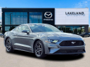 Thumbnail image of 2023 Ford Mustang at Mazda Lakeland