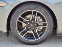 Thumbnail image of 2023 Ford Mustang at Mazda Lakeland