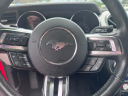 Thumbnail image of 2017 Ford Mustang at CAR NATION, INC.