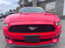 Thumbnail image of 2017 Ford Mustang at CAR NATION, INC.