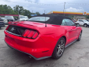 Thumbnail image of 2017 Ford Mustang at CAR NATION, INC.