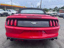 Thumbnail image of 2017 Ford Mustang at CAR NATION, INC.