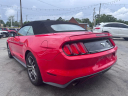 Thumbnail image of 2017 Ford Mustang at CAR NATION, INC.