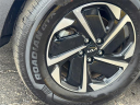 Thumbnail image of 2023 Kia Sportage Hybrid at Spitzer Kia