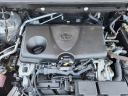Thumbnail image of 2019 Toyota RAV4 at Peak Kia Colorado Springs - Used