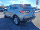 Thumbnail image of 2022 Ford Escape at D'Ambrosio Dodge