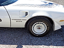 Thumbnail image of 1981 Pontiac Firebird at East Lake Truck & Car Sales