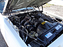 Thumbnail image of 1981 Pontiac Firebird at East Lake Truck & Car Sales