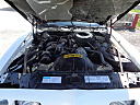 Thumbnail image of 1981 Pontiac Firebird at East Lake Truck & Car Sales