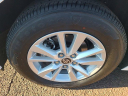 Thumbnail image of 2025 Toyota Camry at Peruzzi Toyota(New)