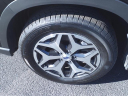 Thumbnail image of 2024 Subaru Forester at Serra Buick Gmc Champaign