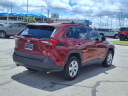 Thumbnail image of 2021 Toyota RAV4 at Bob Moore Ford