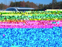 Thumbnail image of 2025 Chrysler Pacifica at ScottEvansDodge of Carrollton, GA