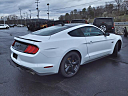 Thumbnail image of 2022 Ford Mustang at Gary Mathews Motors