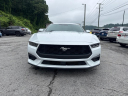Thumbnail image of 2024 Ford Mustang at THORPE AUTOMOTIVE