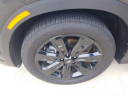 Thumbnail image of 2024 Hyundai PALISADE at GregLeblancHyundai New
