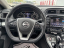 Thumbnail image of 2023 Nissan Maxima at Orr Nissan