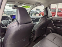 Thumbnail image of 2024 Toyota RAV4 at LaFontaine Toyota Kia Genesis of Dearborn