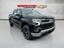 Thumbnail image of 2022 Chevrolet Silverado 1500 at Serpentini Chevrolet of Willoughby