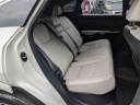 Thumbnail image of 2023 Lexus RX 350 at Tasca Chrysler Dodge Jeep Ram White Plains