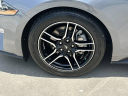 Thumbnail image of 2023 Ford Mustang at Scott Evans Nissan New