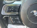 Thumbnail image of 2023 Ford Mustang at Scott Evans Nissan New
