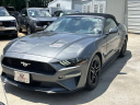 Thumbnail image of 2023 Ford Mustang at Scott Evans Nissan New