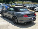 Thumbnail image of 2023 Ford Mustang at Scott Evans Nissan New