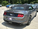 Thumbnail image of 2023 Ford Mustang at Scott Evans Nissan New