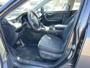 Thumbnail image of 2023 Toyota RAV4 at Shepard Toyota