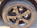 Thumbnail image of 2023 Land Rover Defender at Santa Monica Buick Gmc