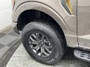 Thumbnail image of 2023 Ford F-150 at Holiday Automotive