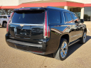 Thumbnail image of 2017 Cadillac Escalade at Frank Brown Honda GMC