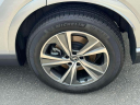 Thumbnail image of 2023 Lexus RX 350 at Lexus of Freeport