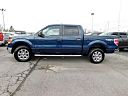 Thumbnail image of 2013 Ford F-150 at Gary Mathews Motors
