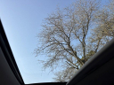 Thumbnail image of 2023 Kia Telluride at Liberty Auto Plaza USED