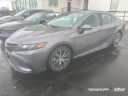 Thumbnail image of 2023 Toyota Camry at Tamaroff Nissan Honda