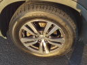Thumbnail image of 2016 Honda Pilot at Serra Buick Gmc Champaign