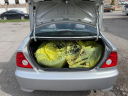 Thumbnail image of 2005 Honda Civic at Deals On Wheels