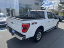 Thumbnail image of 2023 Ford F-150 at Jerry's Ford Leesburg