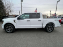 Thumbnail image of 2024 Ford F-150 at Levittown Ford