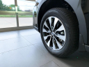 Thumbnail image of 2025 Subaru Outback at Dave Wright Nissan Subaru